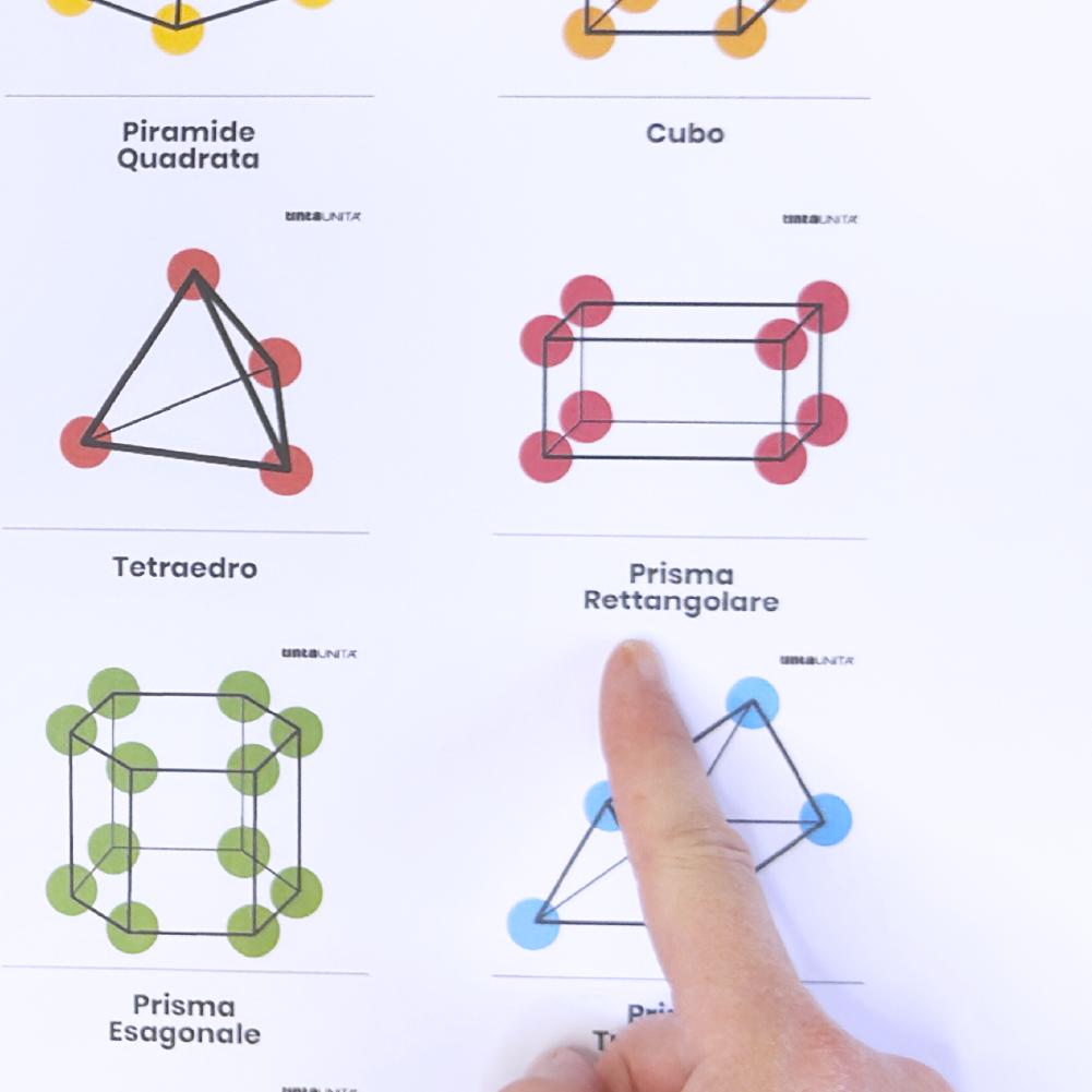 stem procedura copia