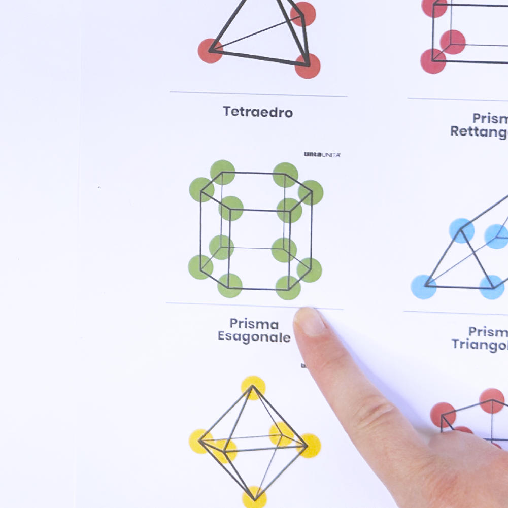 stem procedura copia