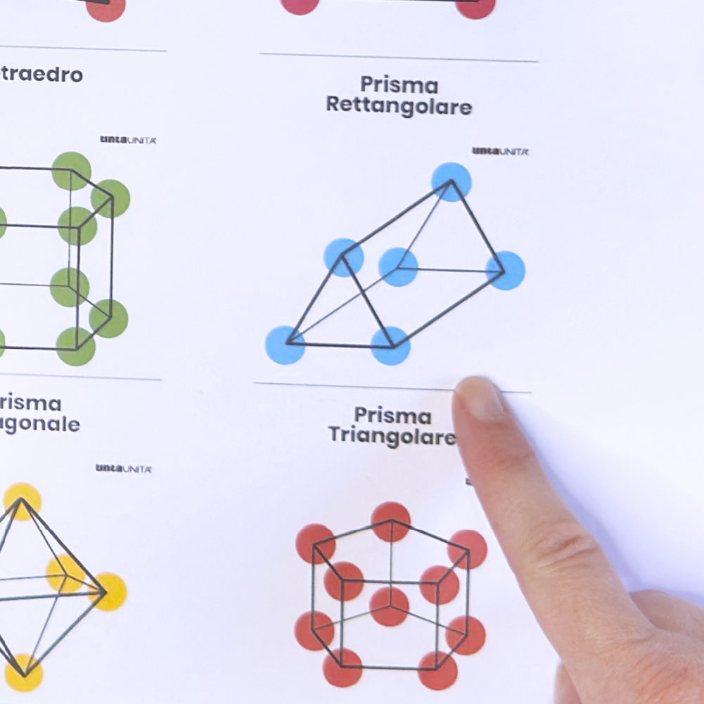 stem procedura copia