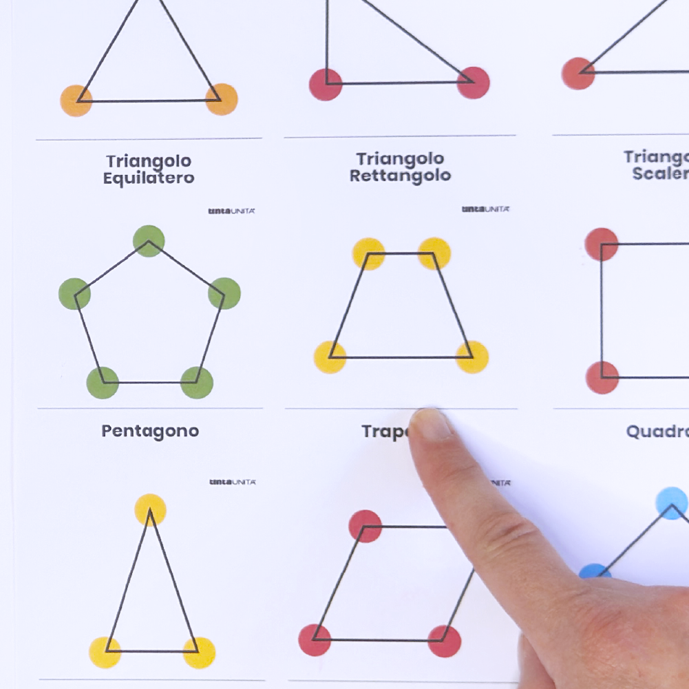 stem procedura copia