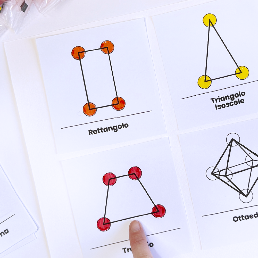 stem procedura copia